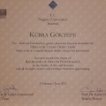 Resmi büyüt: certificate 1