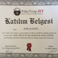 Resmi büyüt: certificate 5