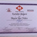 Resmi büyüt: certificate 25