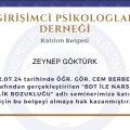 Resmi büyüt: certificate 22