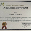 Resmi büyüt: certificate 7
