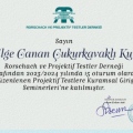 Resmi büyüt: certificate 24