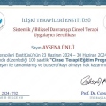 Resmi büyüt: certificate 8