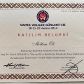 Resmi büyüt: certificate 3