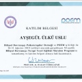 Resmi büyüt: certificate 1
