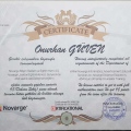 Resmi büyüt: certificate 15