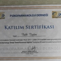 Resmi büyüt: certificate 1