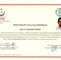 Resmi büyüt: certificate 16