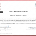 Resmi büyüt: certificate 6