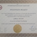 Resmi büyüt: certificate 1