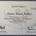 Resmi büyüt: certificate 9