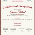 Resmi büyüt: certificate 14