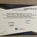 Resmi büyüt: certificate 12
