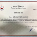 Resmi büyüt: certificate 3