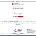 Resmi büyüt: certificate 17