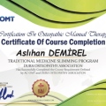 Resmi büyüt: certificate 3