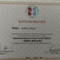 Resmi büyüt: certificate 4