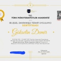 Resmi büyüt: certificate 6