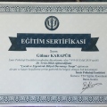 Resmi büyüt: certificate 5