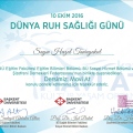 Resmi büyüt: certificate 14