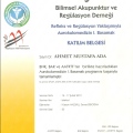 Resmi büyüt: certificate 85