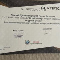 Resmi büyüt: certificate 11