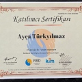 Resmi büyüt: certificate 4