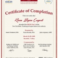 Resmi büyüt: certificate 2