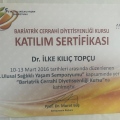Resmi büyüt: certificate 8