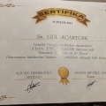 Resmi büyüt: certificate 7