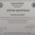 Resmi büyüt: certificate 5