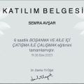 Resmi büyüt: certificate 7