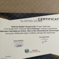 Resmi büyüt: certificate 5