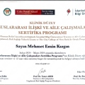 Resmi büyüt: certificate 26