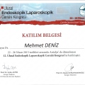 Resmi büyüt: certificate 5