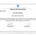 Resmi büyüt: certificate 7