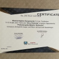 Resmi büyüt: certificate 2