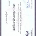 Resmi büyüt: certificate 8