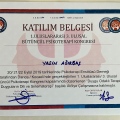 Resmi büyüt: certificate 13