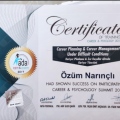Resmi büyüt: certificate 13