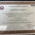 Resmi büyüt: certificate 9