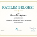 Resmi büyüt: certificate 22