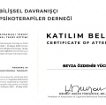 Resmi büyüt: certificate 2