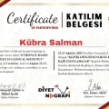 Resmi büyüt: certificate 2