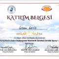 Resmi büyüt: certificate 5