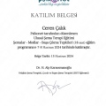 Resmi büyüt: certificate 4