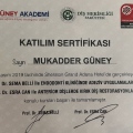 Resmi büyüt: certificate 3