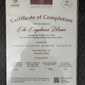 Resmi büyüt: certificate 1