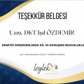 Resmi büyüt: certificate 1