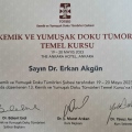 Resmi büyüt: certificate 13